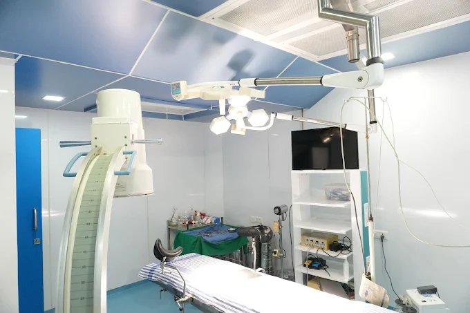 Pulse Hospital Expertise